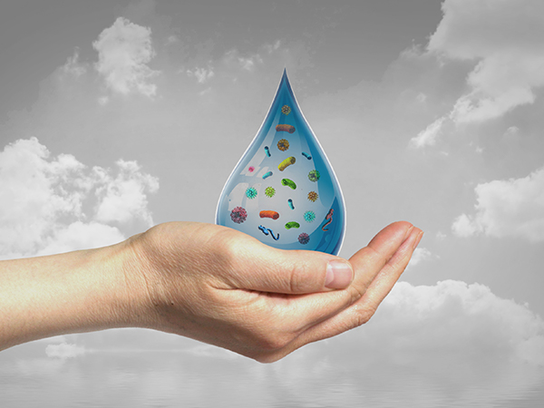 泳池水处理设备的简介